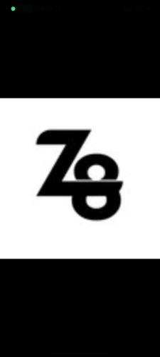 Z8 ESPORTS logo