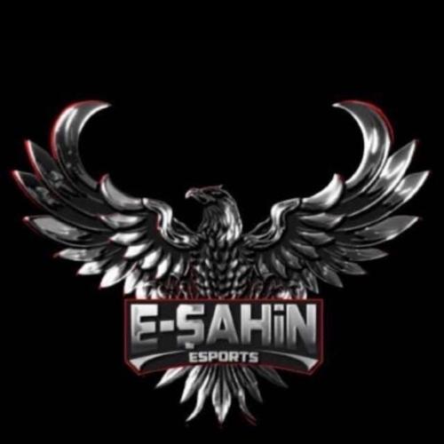 E-Şahin logo