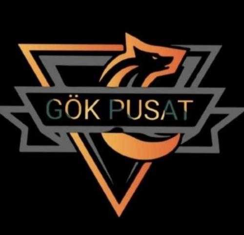 GökPusattt logo