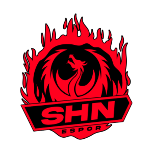 SHN ESPOR logo