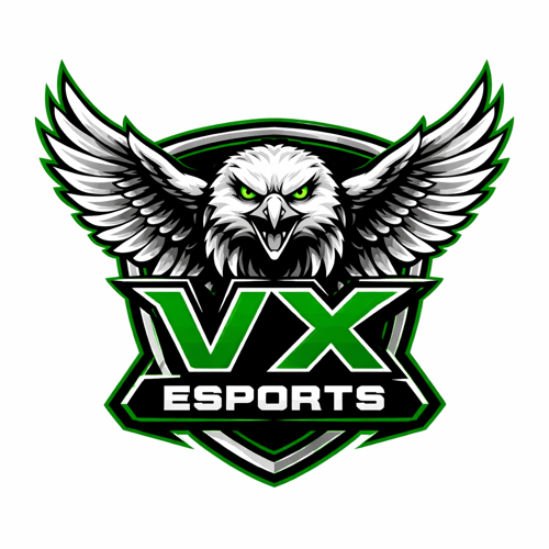 VX ESPORTS