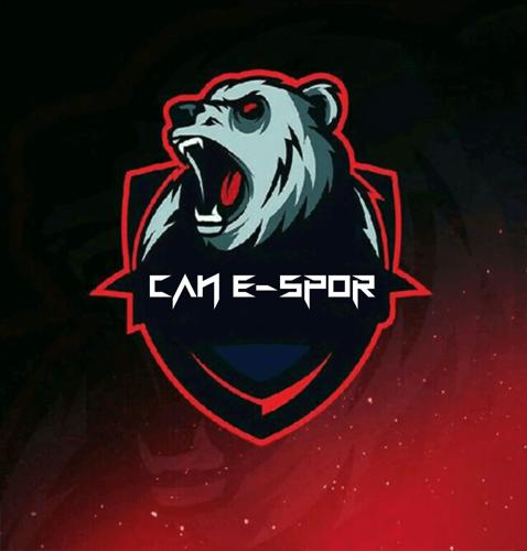 Can Espor logo