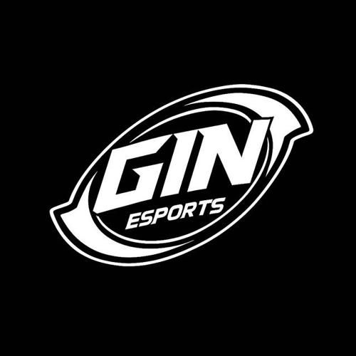 GIN ESPORTS logo