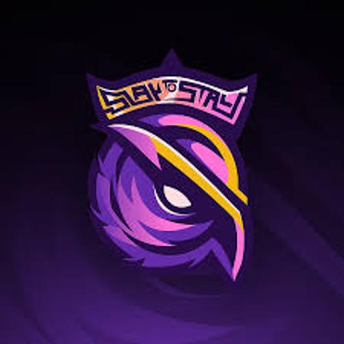 S2G Acedemyy logo