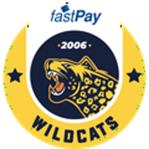 Istanbul Wildcats logo