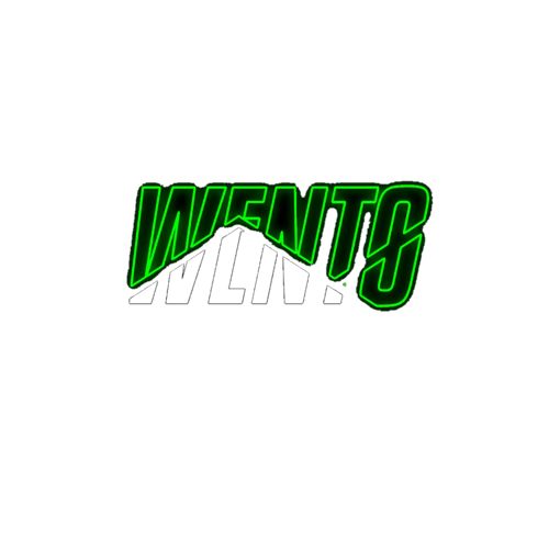 WENTO E-SPORTS logo