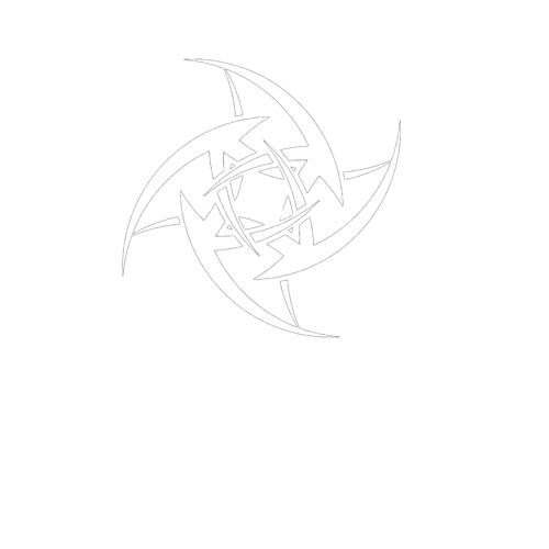 Ninjas in night logo
