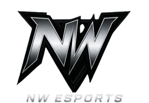 NewWay Esports