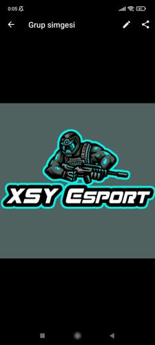 XSY logo