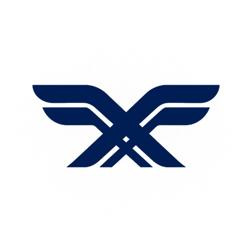 BSW Esports logo