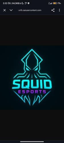 SQUİD ESPORTS logo