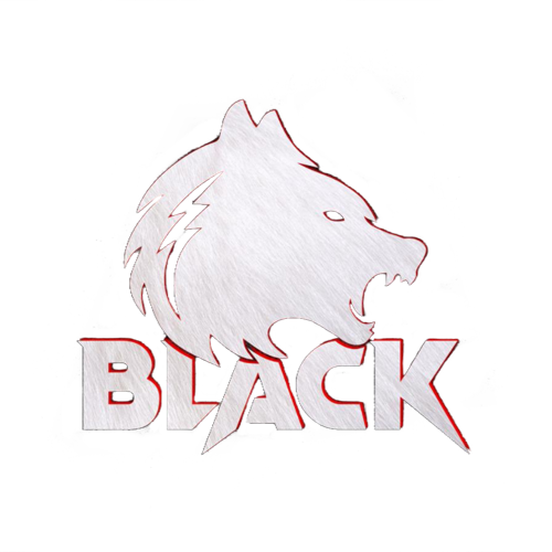 Black Esports logo
