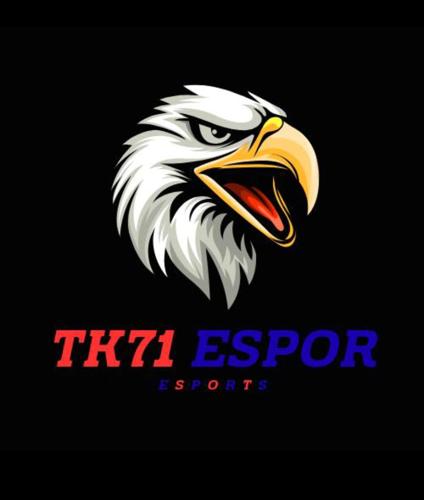 TK71-ESPORTS logo