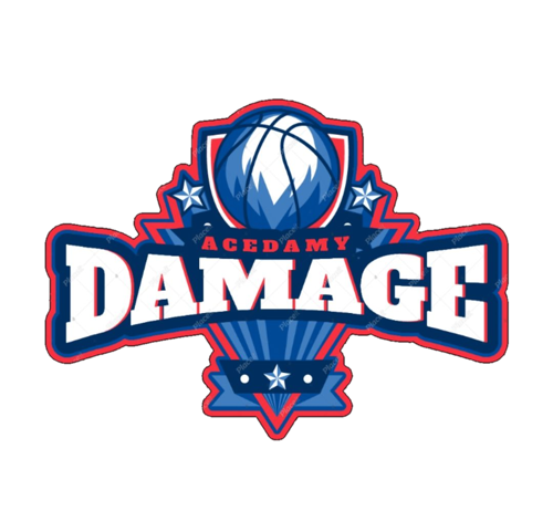DaMaGe Acedamy logo