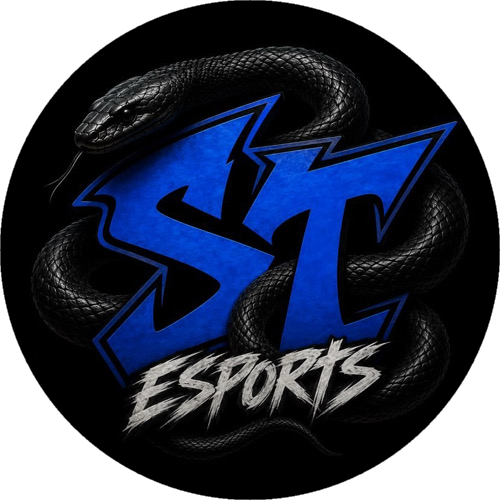STAR TOWERS ESPORTS