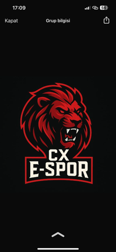 CX esports logo