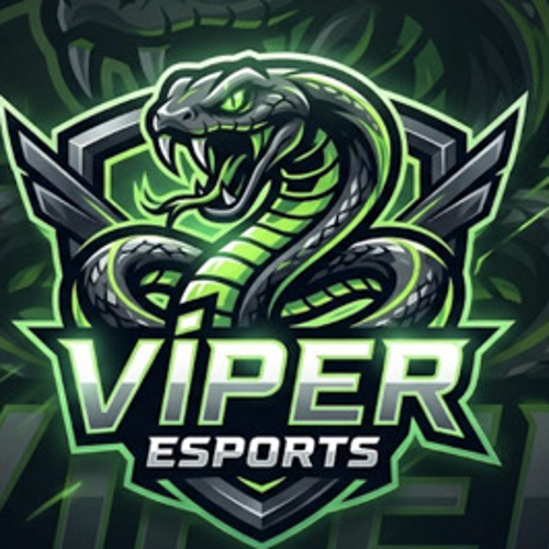VİPER ESPORTS