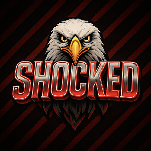 SHADOW WARRİOR logo