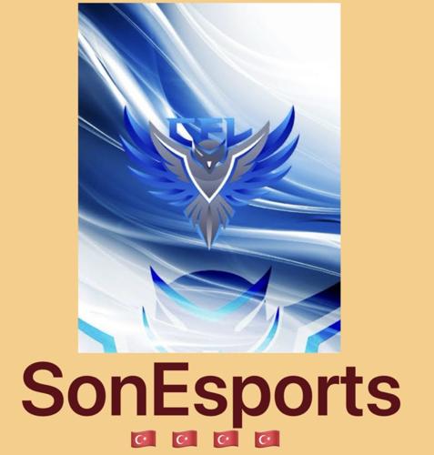 Son Esports logo