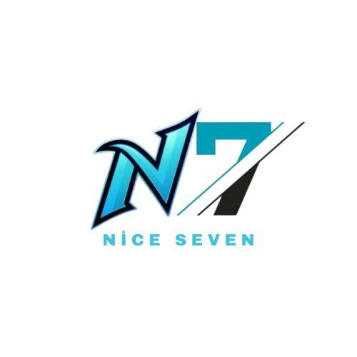 NİCE7 ESPORTS logo
