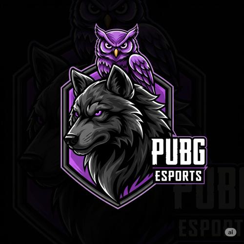 KS Esport logo