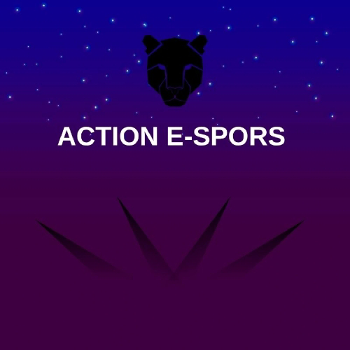 ACTION E-SPORS