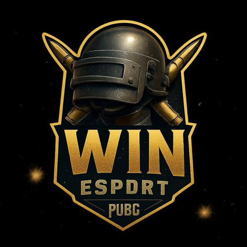 WİN esport logo