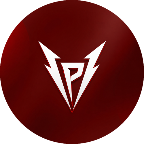 VANGUARD POWER