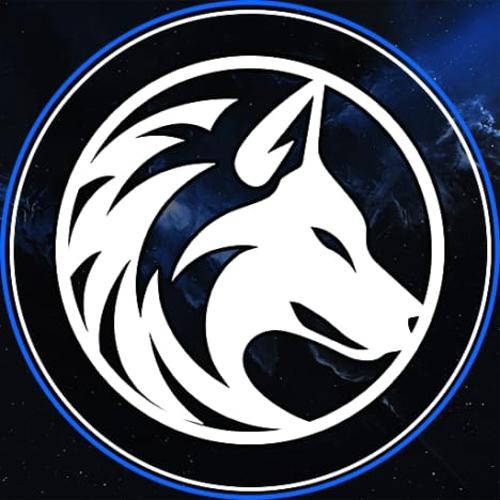 RoadSalvaTion ESPORTS logo