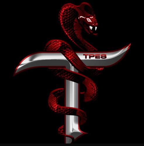 TpesEsportss logo