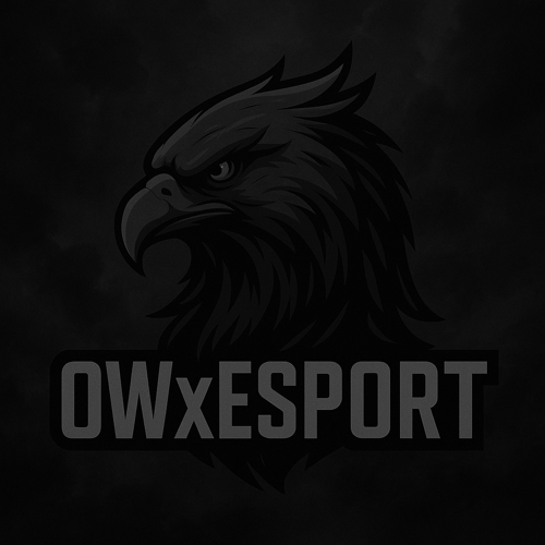 OWxESPORT logo