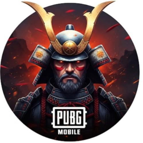 Samuray Soul Team logo