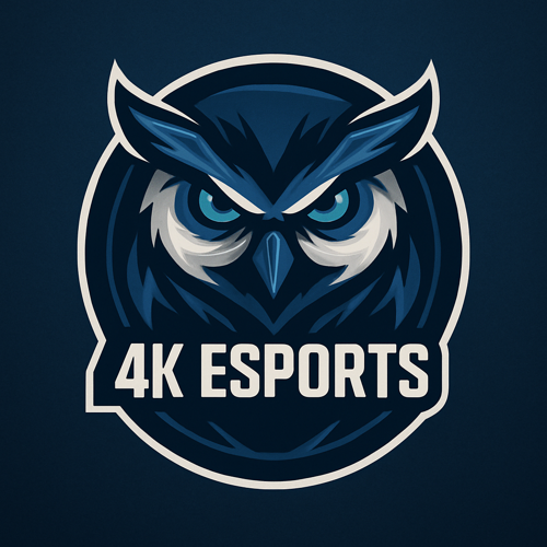 4K ESPORTS logo