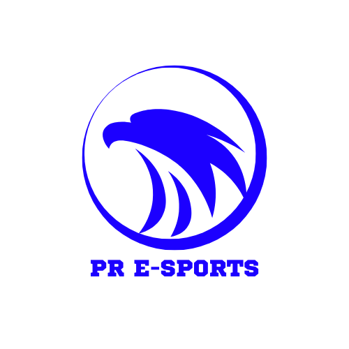 PR TEAM logo