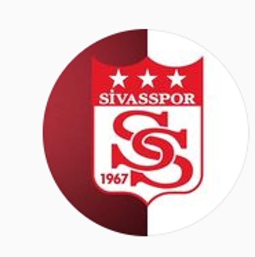 SİVASSPOR ESPORTS logo