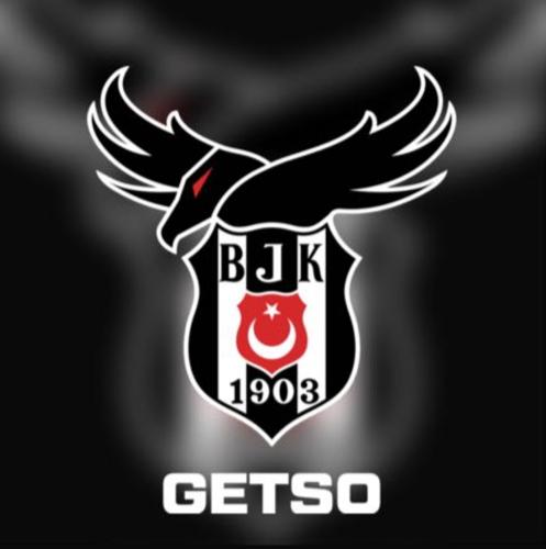 Beşiktaş Getso Academi logo