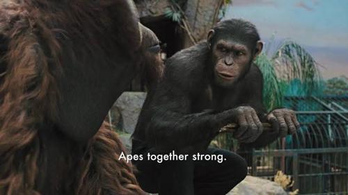 Bunu Yapabiliyo Mu Abi logo