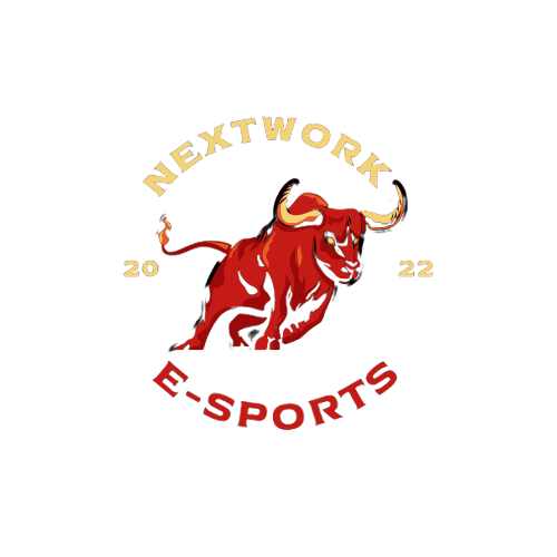 NextWork Esports logo