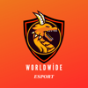 WORLDWİDE logo