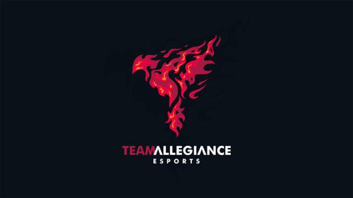 Team allegiance logo