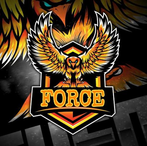 FORCE TEAM logo