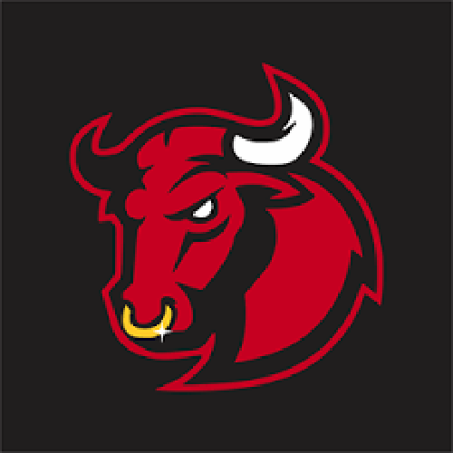Red Bull Wings logo