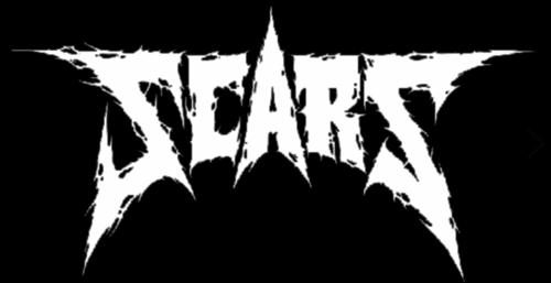 TEAM SCARS logo