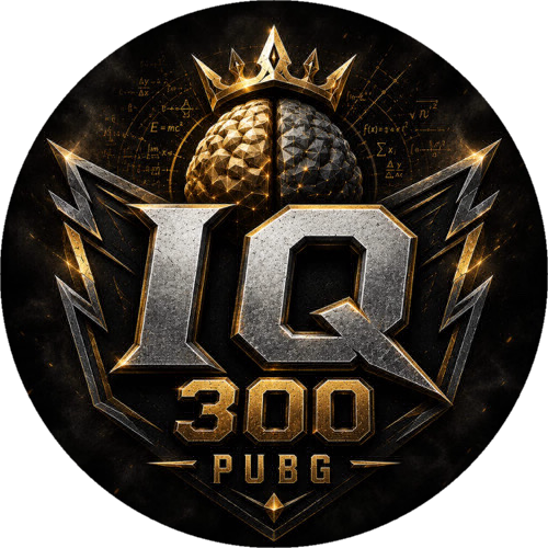 İQ300 ESPORTS