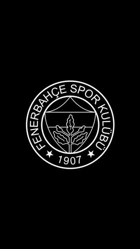 FB AKADEMİ ESPOR logo