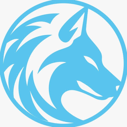 Road Salvation Black