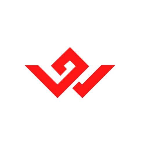 WİS E sports logo