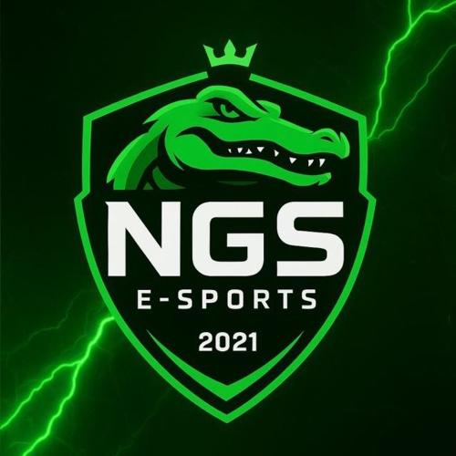NGS ESPORTS logo