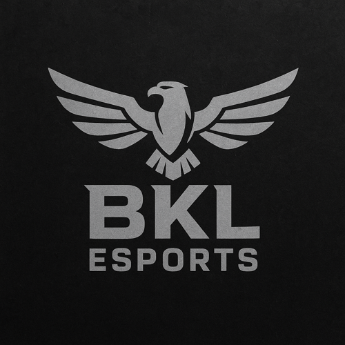 BKL  ESPORTS logo