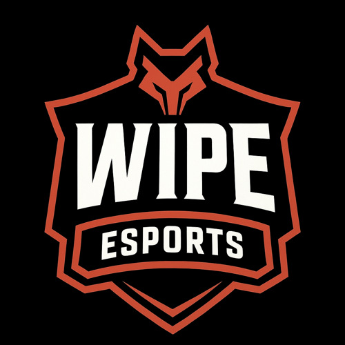 WİPE E SPORTS logo